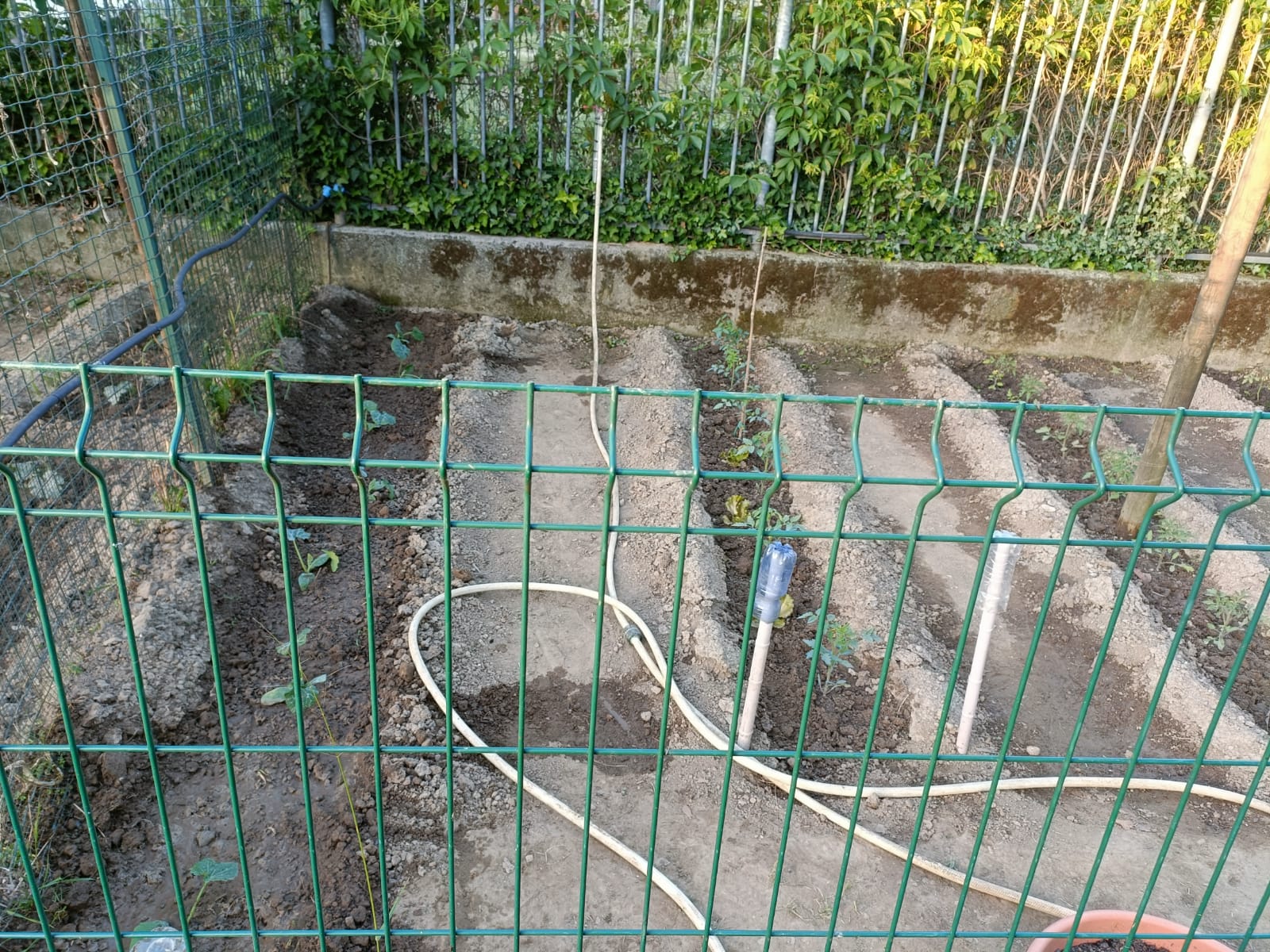 IMG-20250520-WA0070